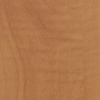 t9